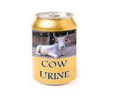 Gomutra-Cow-Urine