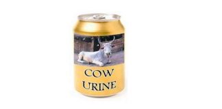 Gomutra-Cow-Urine