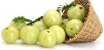avla ke tel ke fayde in hindi gooseberry oil benefits