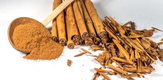 dalchini ke fayde cinnamon benefits in hindi