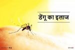 dengue ka ilaj dengue treatment in hindi