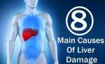 8-main-causes-of-liver-damage