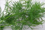 dill-leaves