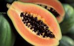 papaya-seeds3