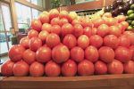 tomato-