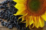 benefits-of-sunflower-seeds