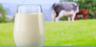 milk benefits